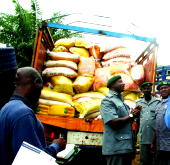 Customs impounds truck load of rice concealed with animal dung in Katsina