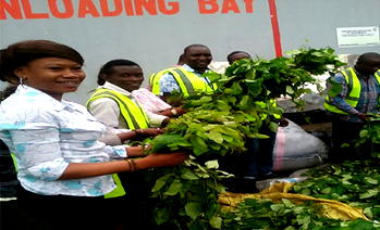 Photos: See Obiano’s $5m Ugu farm