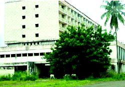 How Enugu Hotel Presidential became cattle grazing field
