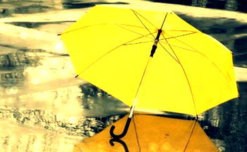 Come Rain, Come Shine ‘Umbrella Etiquette’ (Part2)