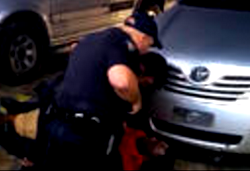 The immortality of racism