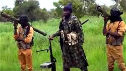 Just in: Boko Haram kills nine near bombed IDPs camp in Borno