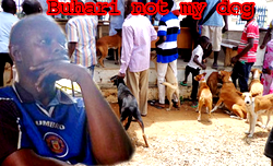 DOG SAGA:  Case not connected to President  – POLICE