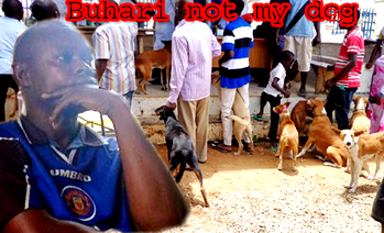 Court adjourns to Nov 21, case of man who named dog Buhari
