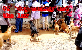 Of ‘dog-naming’ and the law