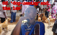 Iroko asks Court to dismiss case on ‘Buhari’ Dog