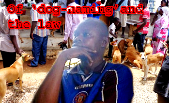 Iroko asks Court to dismiss case on ‘Buhari’ Dog