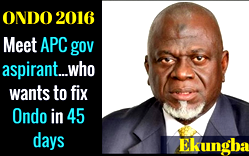 I’ll fix Ondo battered economy in 45 days  — Ekungba