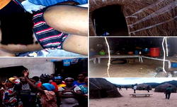 Enugu herdsmen attack: Police arrest suspected mastermind