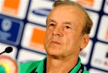 AFCON 2017: Rohr roars for Indomitable Lions