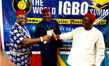 Group calls for synergy in devt of S-East