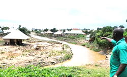 FG indicates interest in Bangladesh’s flood resistant seeds