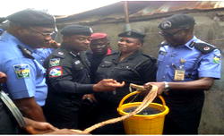 Police uncover illegal oil wells in ‘PDP house’, 10 others in Lagos