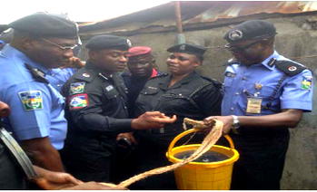 Dealers of Lagos illegal oil wells sold diesel for N100 per litre