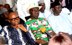 PDP National Convention in photos