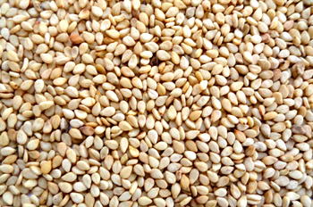 ‘Anyone or company that wants to import or release genetically modified seeds, grains should get permit’