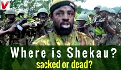 We are responsible for attacks, Boko Haram’s Shekau speaks again