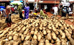 Food inflationary trend persists as Inflation eased to 16.25% in May – NBS