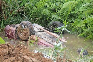 Man plunges car into swamp, dies