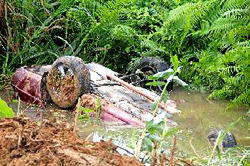 Man plunges car into swamp, dies