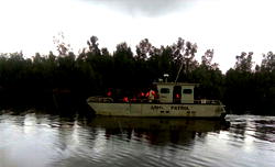 Troops intercept suicide bomber in Adamawa
