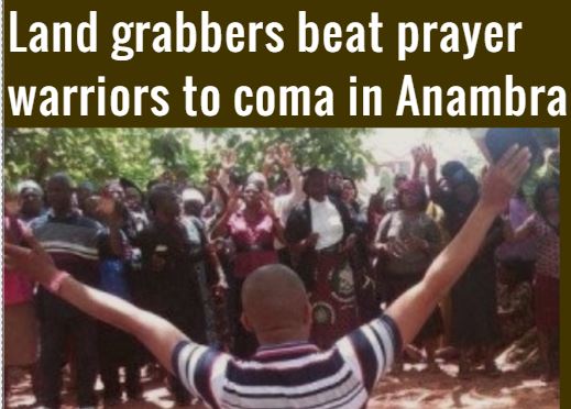Land grabbers on the prowl in Ogun