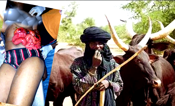 How herdsmen invaded Enugu, killed  seminarian