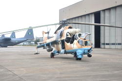 Air Force immortalises fighter pilots killed in Mali battle