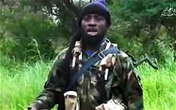 Abubakar Shekau wounded in NAF’s Sambia raid