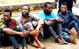 Disregard of human rights and dignity of detainees