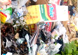 Shocking find: Posers over lifeless baby found in refuse dump