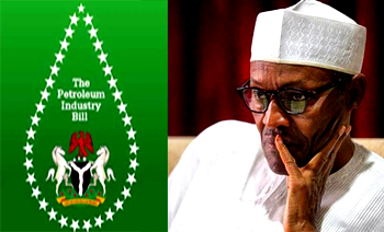 PIB: Removal of host communities’ fund, anti-Niger Delta —NNYM