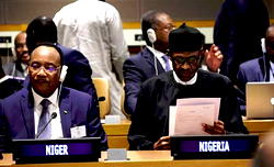 Treasury looters recruited N’Delta militants against us, Buhari reveals in US