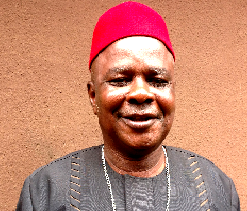 2017 election: ‘Anambra North should be allowed to complete mandate’