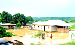 Taraba: Forget ancestral lands, run for dear lives