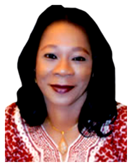 Audit of River Niger begin soon- Auditor-General