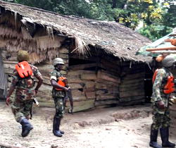 Crocodile smile: 2 killed in Imo as troops clear kidnappers camps