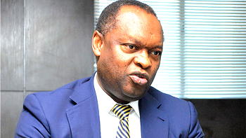 We need value addition in agric, other commodities to move economy forward—NESG Chairman
