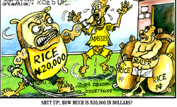 Promises waiting for FG this year