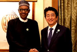 TICAD IV: Japan’s economic pathway for Nigeria