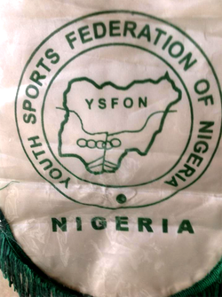 Use Youth Games to discover talents, YSFON tells sports ministry