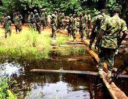 Army releases video of exercise ‘Operation Crocodile Smile’ in Niger Delta