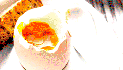 An egg a day does not increase risk of heart attack — STUDY