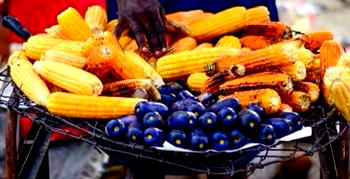 Consumption of maize good for management of diabetes, obesity- Expert