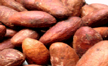 Exportable commodities: Bitter Kola