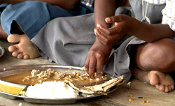 Study shows poor diet is greatest risk to health and wellness