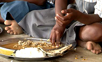 Study shows poor diet is greatest risk to health and wellness