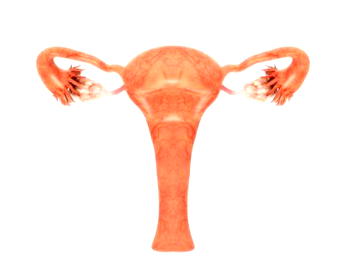 Oral contraceptives reduce deaths from ovarian cancer globally — SCIENTISTS