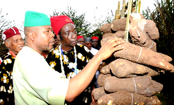Rivers communities hold new yam festival