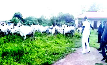 Mob kill two Muslim men over suspected cow theft